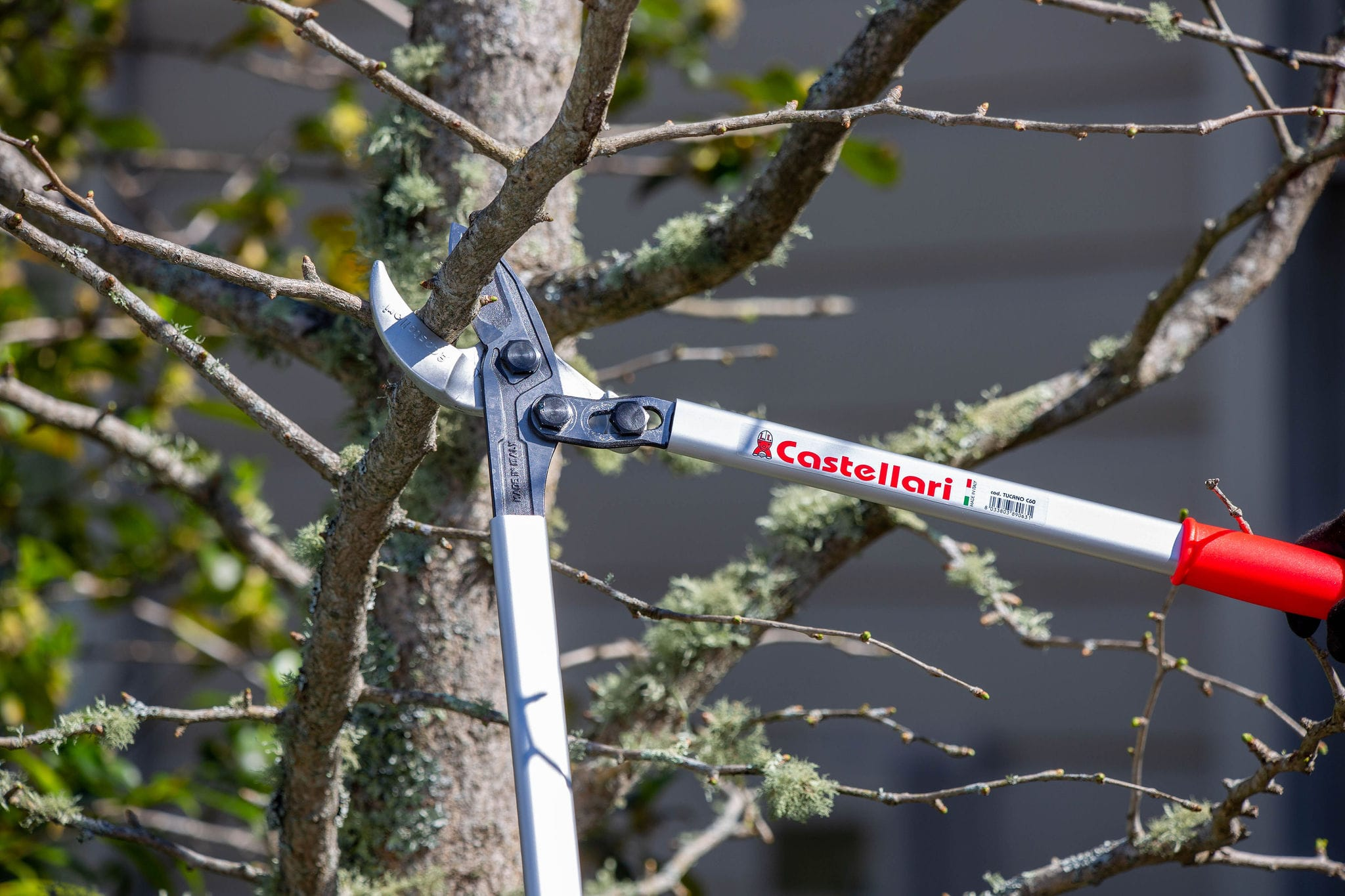 Castellari Pruning Tools New Zealand