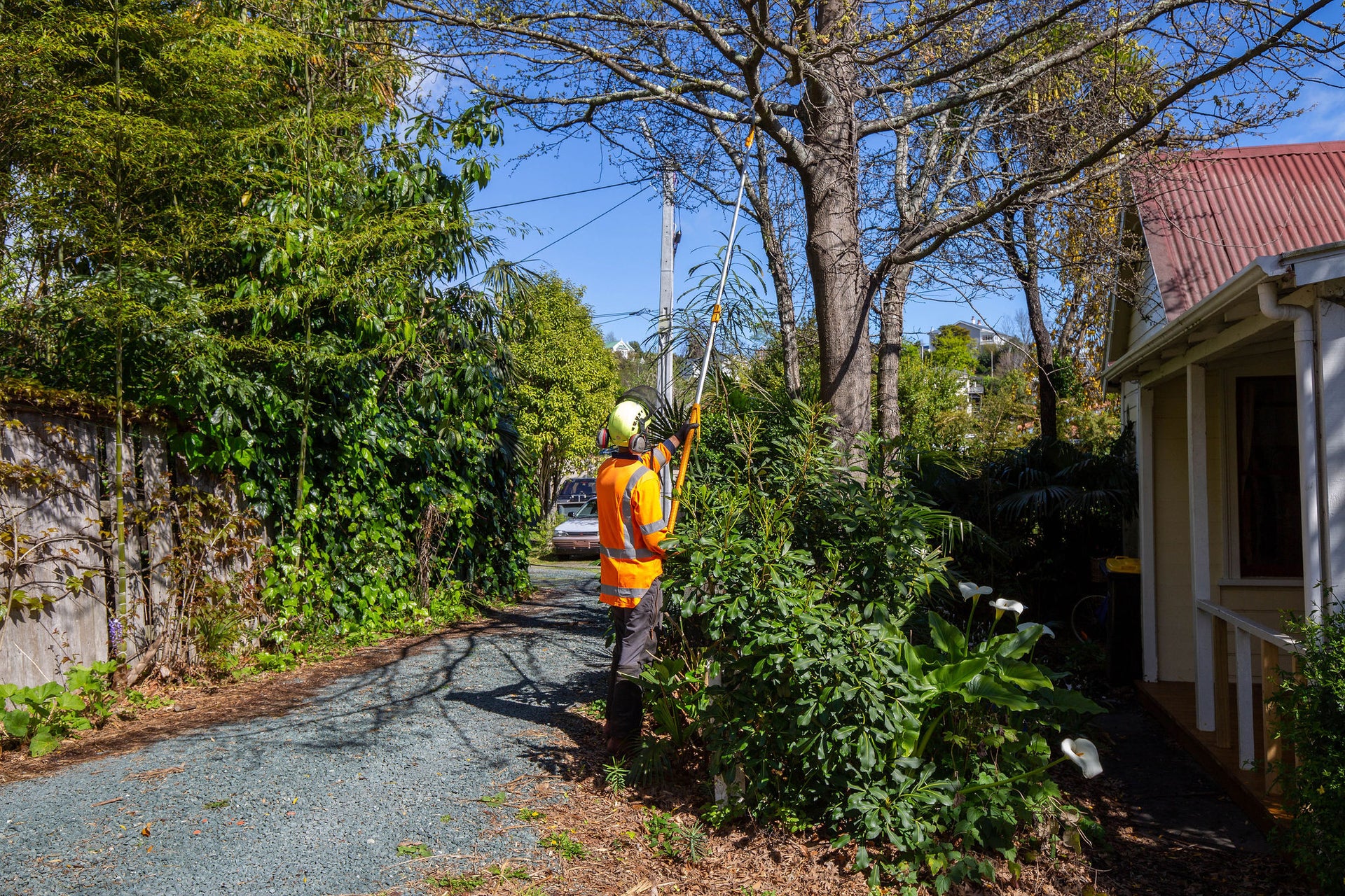 Extension Pole Saws Silky Store