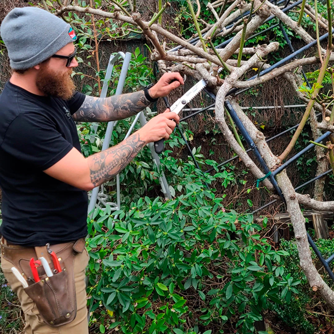 Pruning