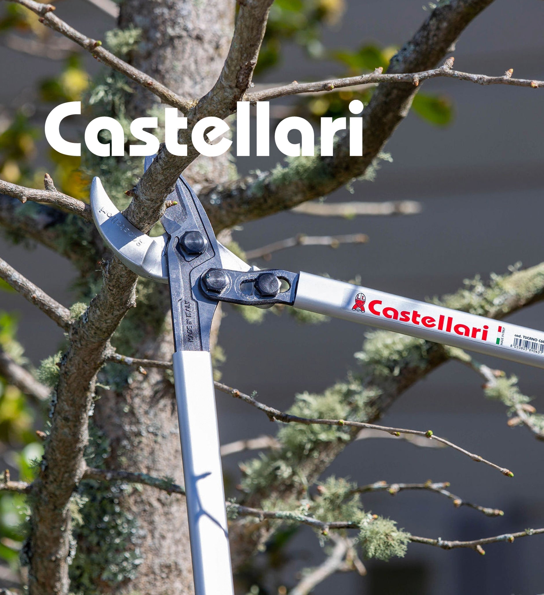 Castellari Pruning Tools New Zealand