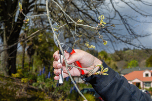 Okatsune Pruning Tools New Zealand